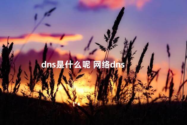 dns是什么呢 网络dns